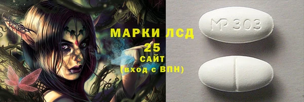 ГАЛЛЮЦИНОГЕННЫЕ ГРИБЫ Баксан