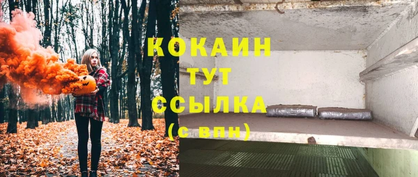 ГАЛЛЮЦИНОГЕННЫЕ ГРИБЫ Баксан