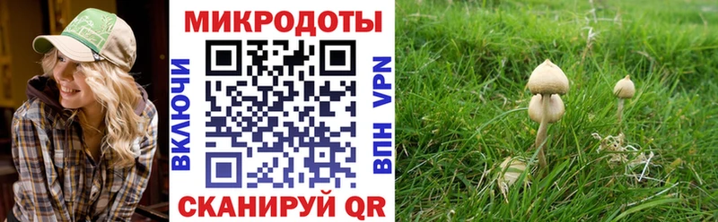 Псилоцибиновые грибы Cubensis  Гремячинск 